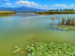 -野鸭湖国家湿地公园