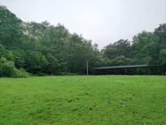 -老山国家森林公园