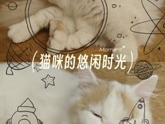 -民盈·国贸城