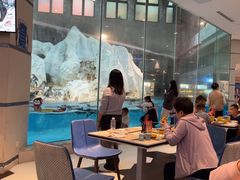 -帝企鹅自助餐厅•儿童岛•真企鹅(长隆企鹅酒店)