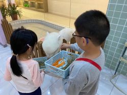 -Moni星球萌宠·小马宝莉·灵蛇·高端高阶全萌宠互动体验俱乐部(红豆国际广场店)