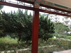 -嘉和一品粥(魏公村店)