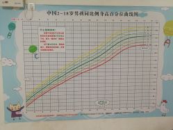 -北京市东城区妇幼保健院(南院区)