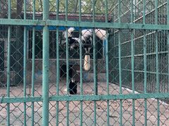 -秦皇岛野生动物园