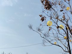 -武汉园博园(武汉自然博物馆)