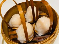 -金鼎轩(亚运村店)