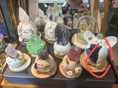 -美联众合爱康动物医院•复杂内科•肿瘤科•牙科•腔镜诊疗中心