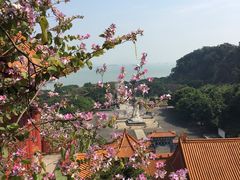 -南沙天后宫景区