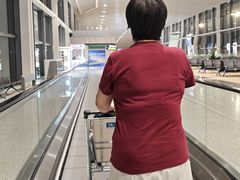-青岛胶东国际机场