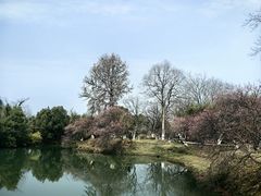 -西溪国家湿地公园