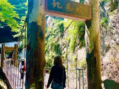 -牛背梁国家森林公园