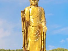 -中原大佛景区