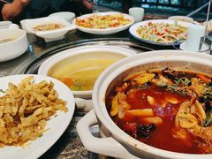 -先机泉水鸡汤(南山老君洞店)