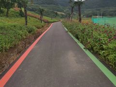 -东海半边山旅游度假区