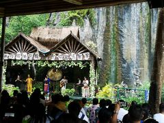-西双版纳原始森林公园