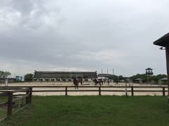 -松声马术俱乐部