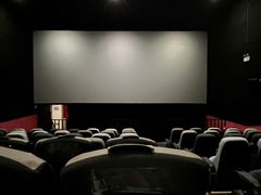 -中影嘉华国际影城(大芬星都里店)