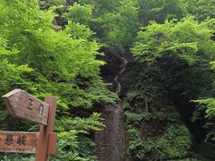 -野三坡百里峡景区