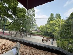 -J Create城市露营咖啡·简餐·宠物(上海动物园店)