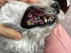 -FAELING PETS美天灵宠物(富力广场店)