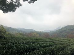 -西湖风景区十里琅珰-五云山