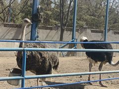 -森林公园(尖草坪区)