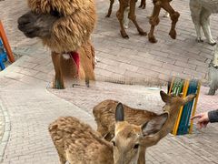 -水上乐园·欢乐世界