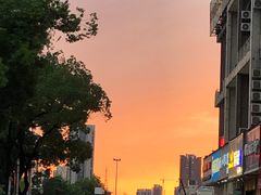 -十里铺铁板鱿鱼