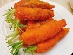 -丁老爷子苏香圆