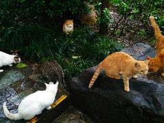 -静安公园(静安寺街道)