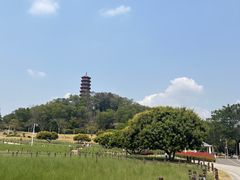 -红花山公园