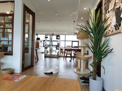 大堂-猫小主咖啡·猫咖cat cafe(福田店)