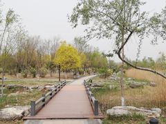-水西公园