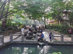 -成都市活水公园