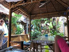 -Jungle Kitchen
