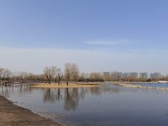 -大兴滨河森林公园