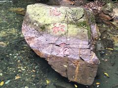 景点-鼎湖山风景区