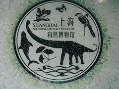-东方绿舟景区