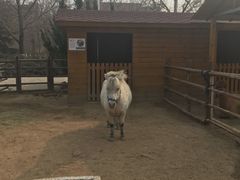 -北京市海淀外国语实验学校