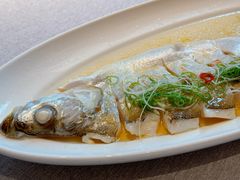 鸡油蒸白水鱼-拾宴(汇智国际商业中心店)