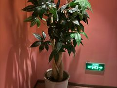 -泰融玺·泰式按摩SPA(包河万达店)