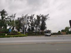 景点-宝安西湾红树林湿地公园