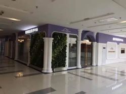 -莘苗家小儿推拿(印象城店)