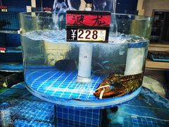 -闽鲜森霞浦海鲜城
