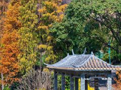 -广州莲花山旅游区