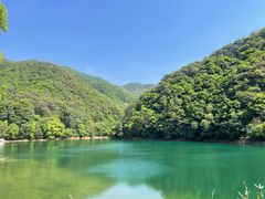 -芦茨金富饭庄·25年老字号·专做稻草鸡