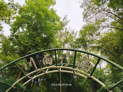 -川西竹海景区