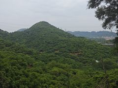 -大屏嶂森林公园