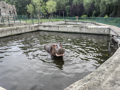 -哈尔滨北方森林动物园