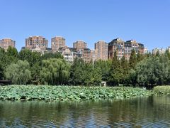 -前关湿地公园
